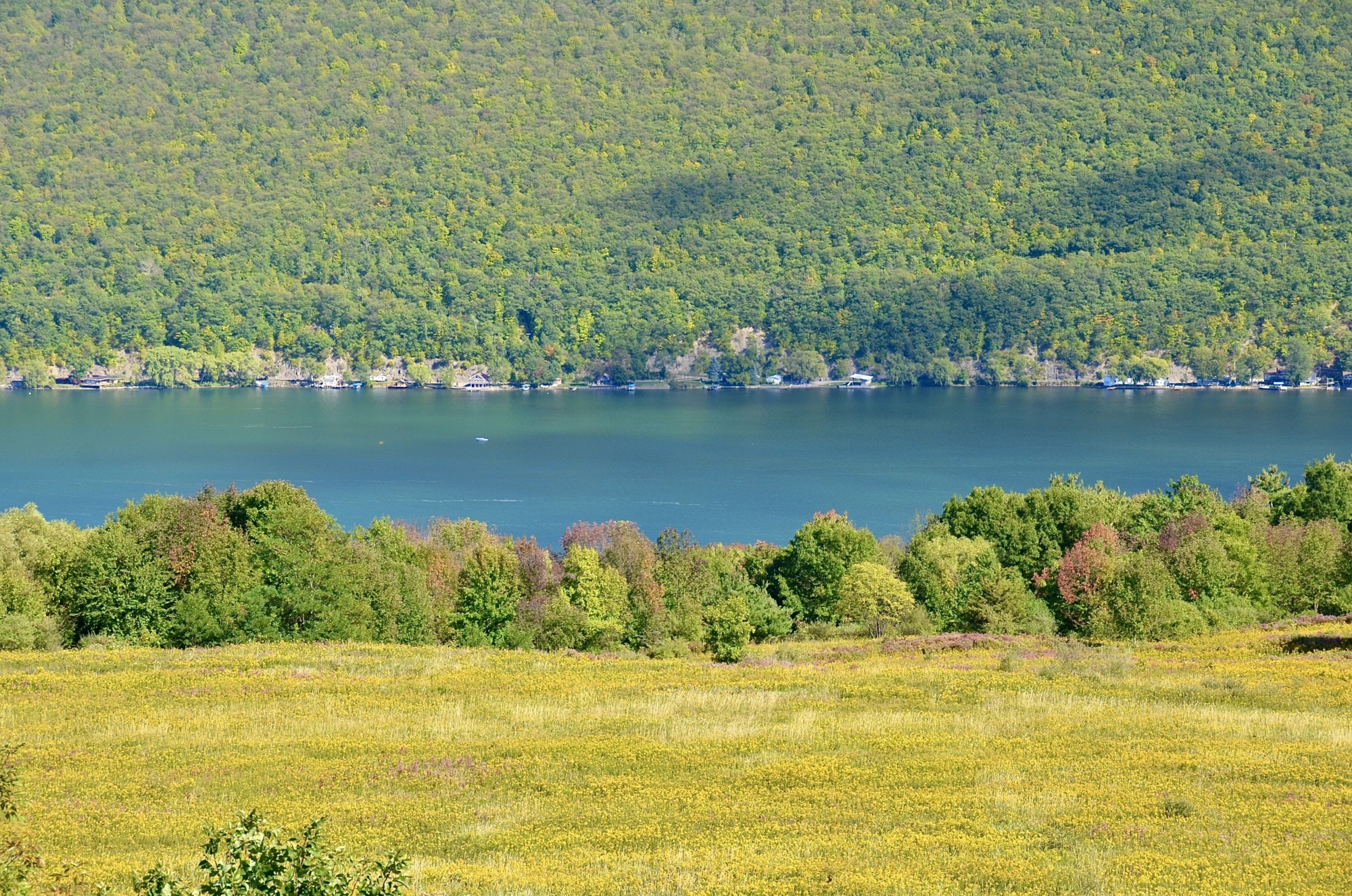 Buying Land and Building Your Weekend Home Part 1 ELIKA New York