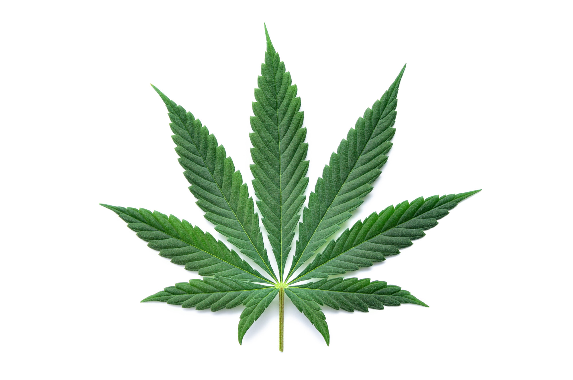 Can I Smoke Marijuana Legally in My NYC Apartment?