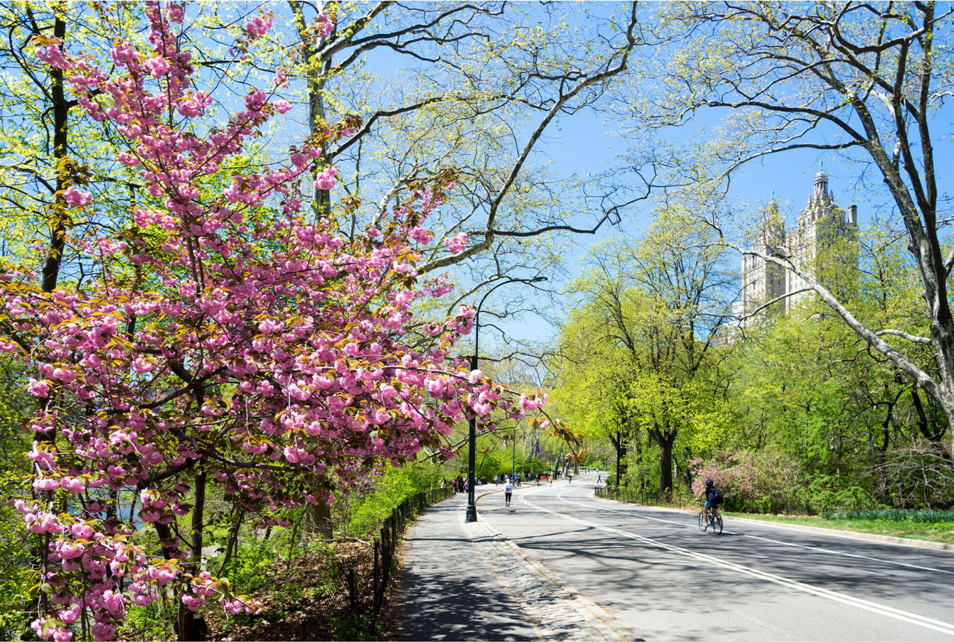 The Pros and Cons of NYC Home Hunting in Spring