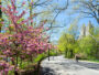 The Pros and Cons of NYC Home Hunting in Spring