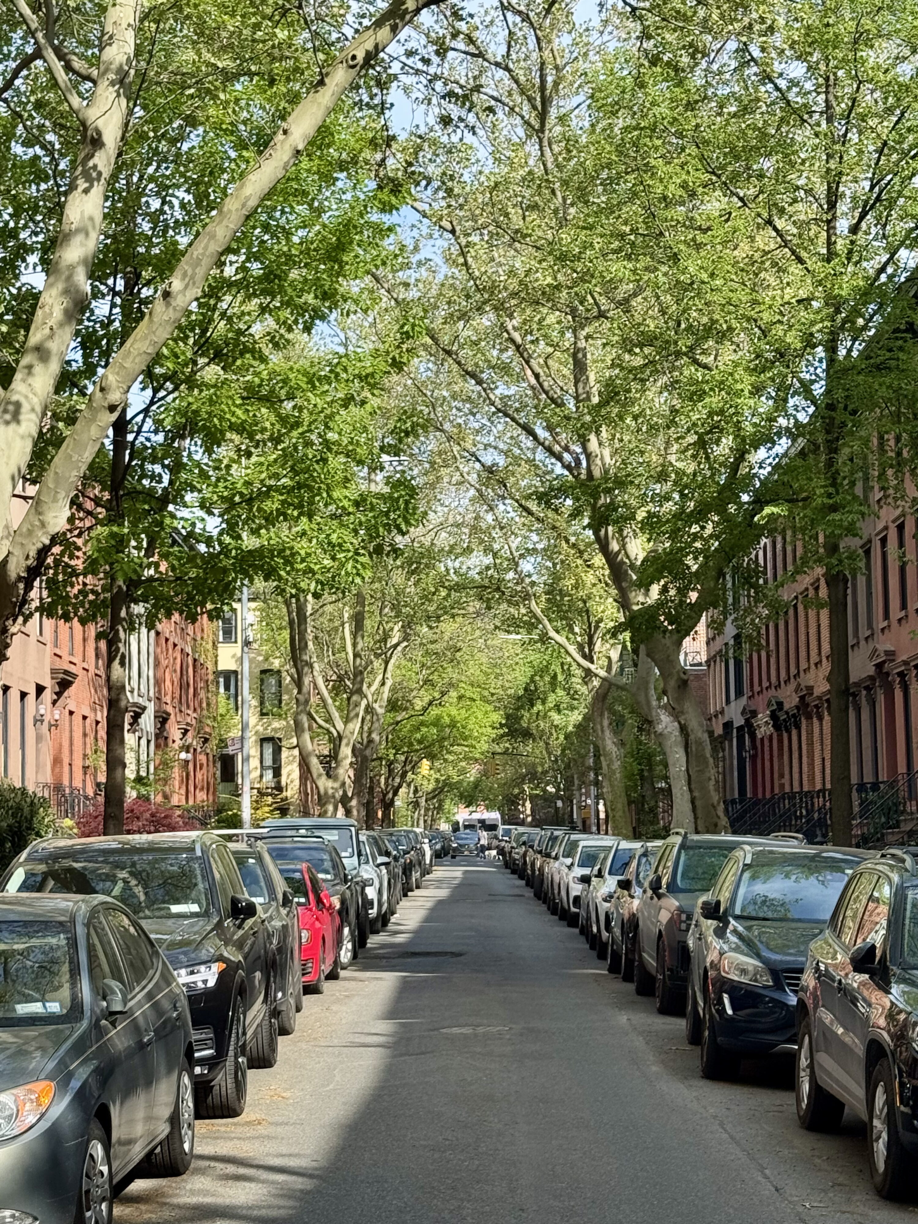 Warren Street, Brooklyn Cobble Hill Townhouses
